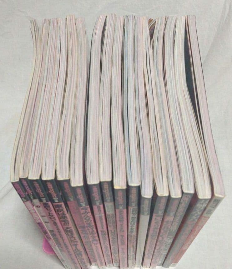 小悪魔ageha　メモリアルBOOK　姉ageha等　54冊まとめ売り