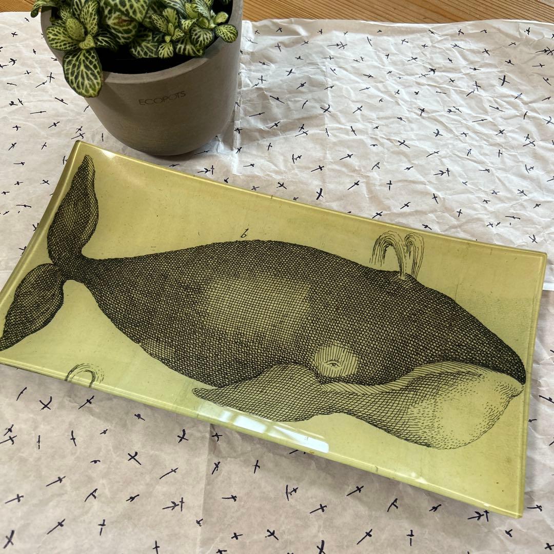 ジョン・デリアン　プレート