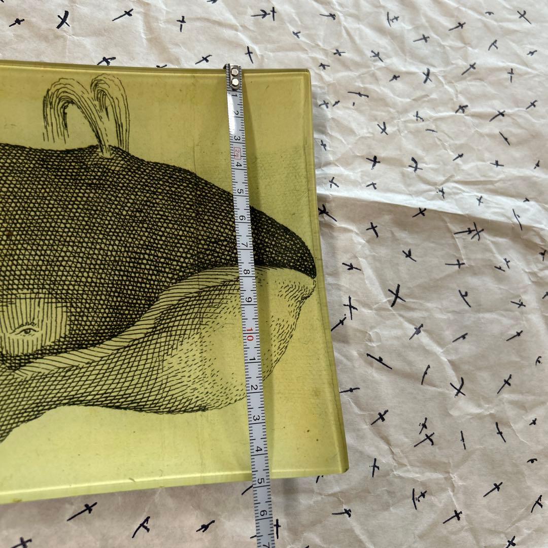 ジョン・デリアン　プレート