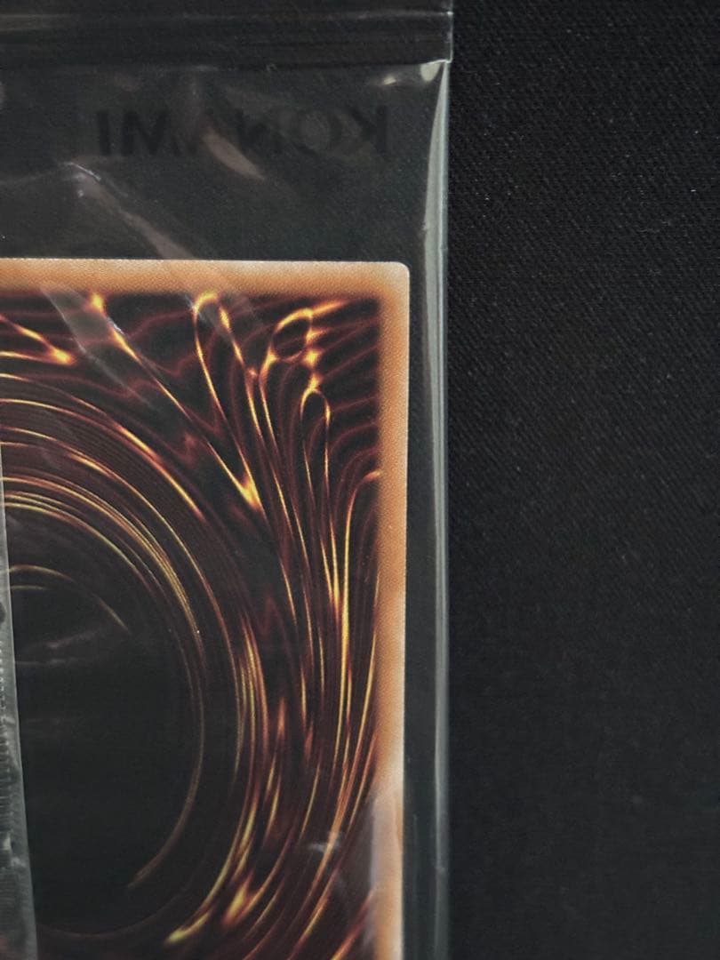 異次元の女戦士 未開封