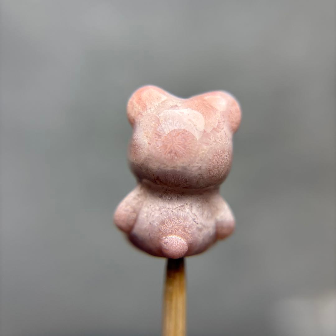 あずきちゃんフォッシルコーラル　クマパーツ　1-155