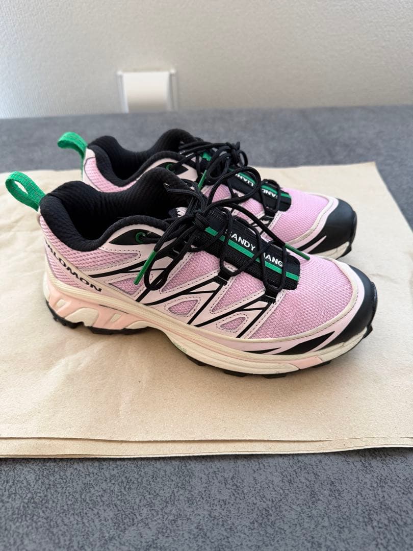 靴 Salomon x Sandy Liang XT-6 Expanse