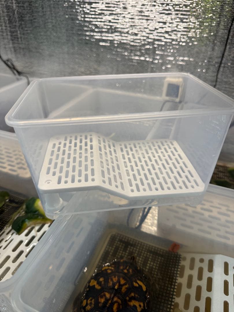 カメ専用飼育ケース　4個セット　中サイズ