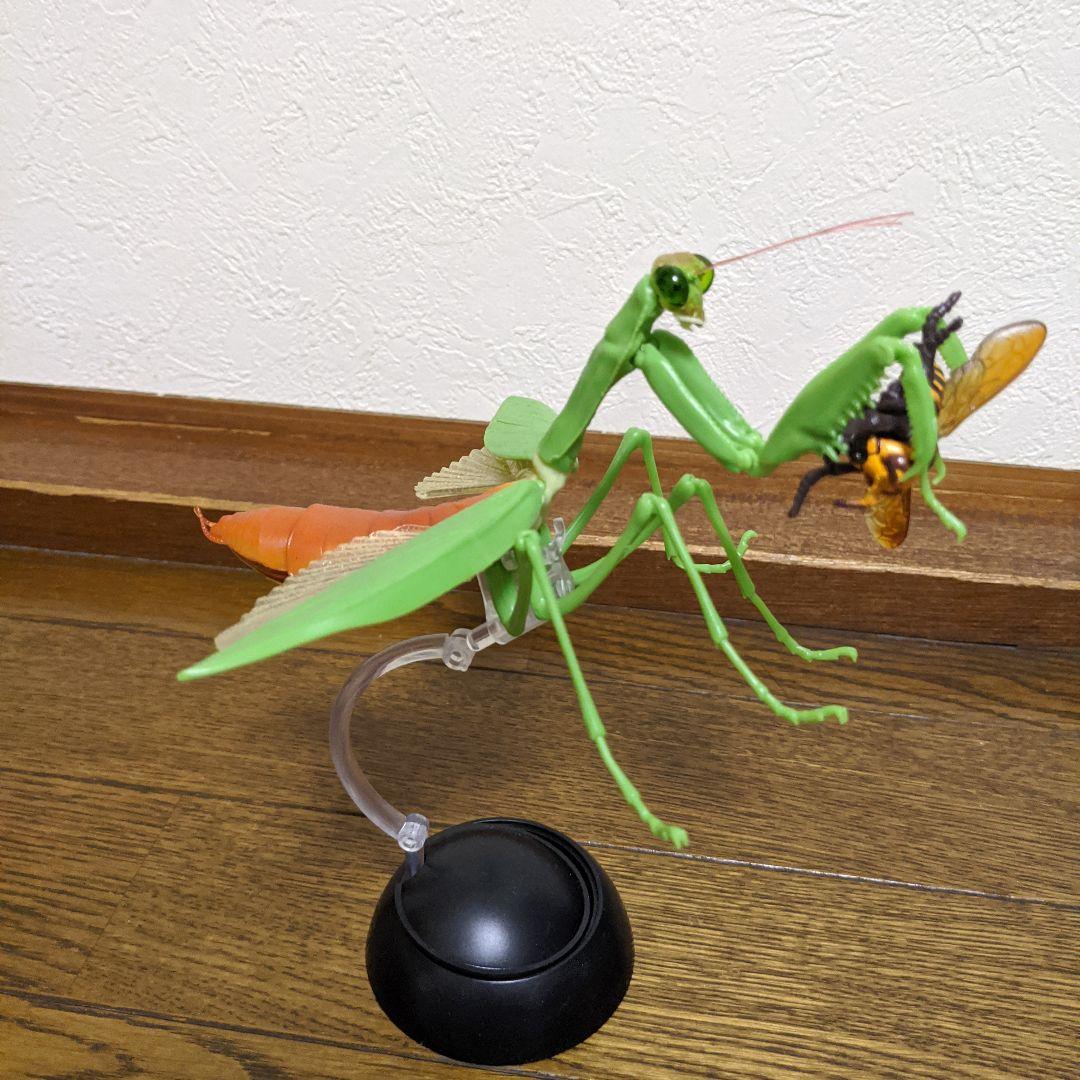 カマキリＶＳスズメバチ