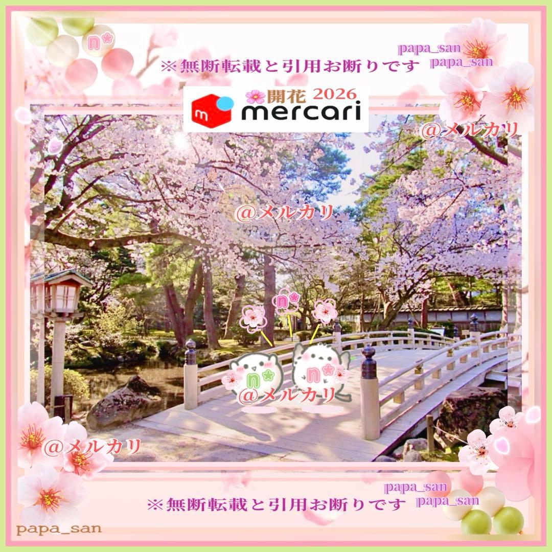 ❀メルカリn様✩ページです