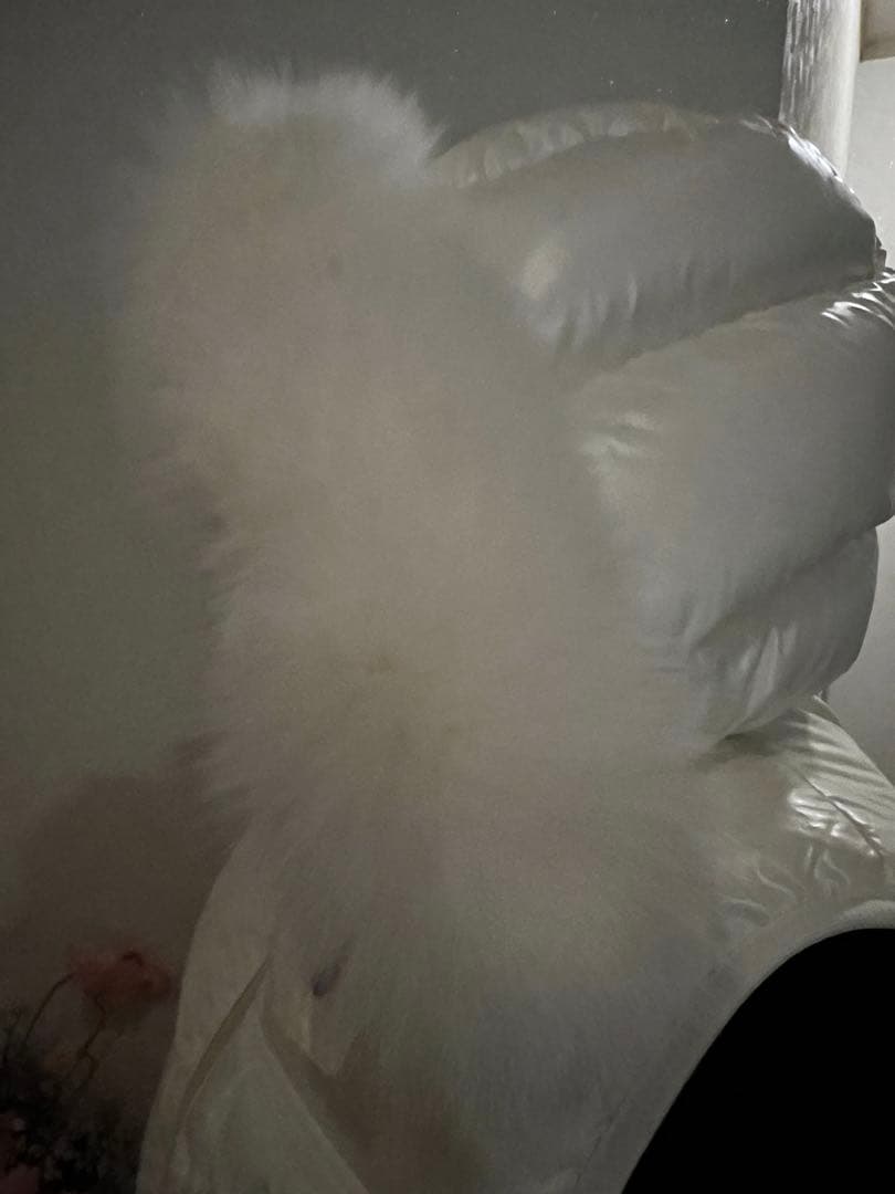 レディース モンクレールダウンベスト