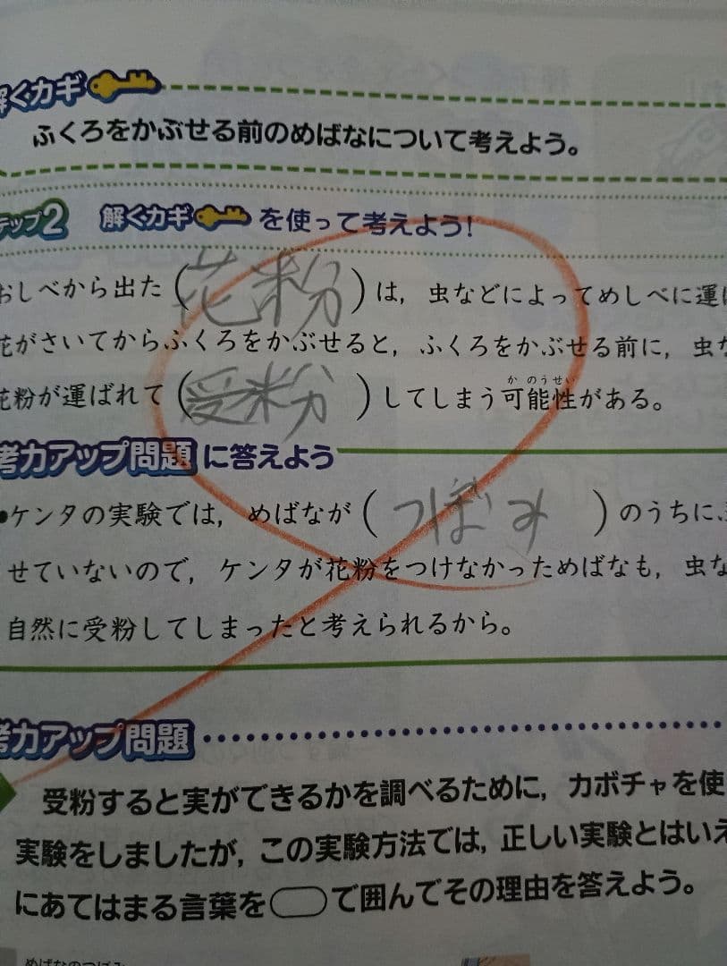 チャレンジ　5年生　ベネッセ　こどもちゃれんじ　知育　学習　本　 ポスター