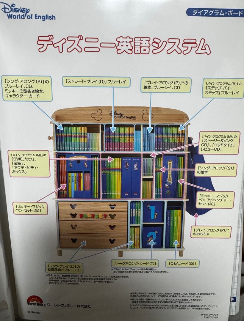 【ひまわり】DWE② (2/5箱)