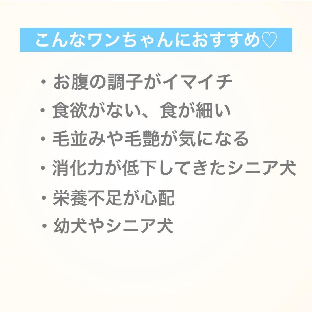 オーダー再開。doglio-ALOHA★