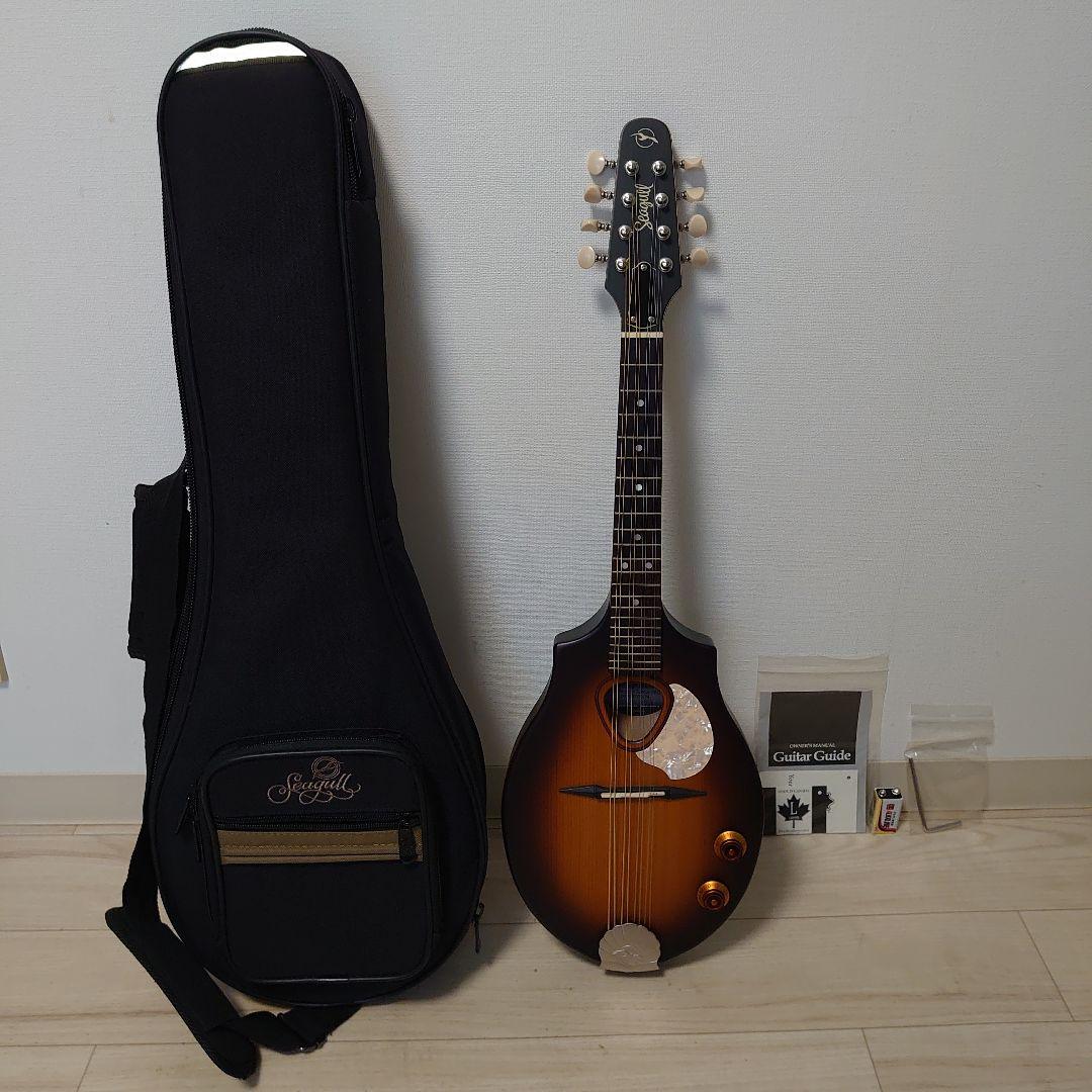 Seagull S8 マンドリン セミハードケース付き