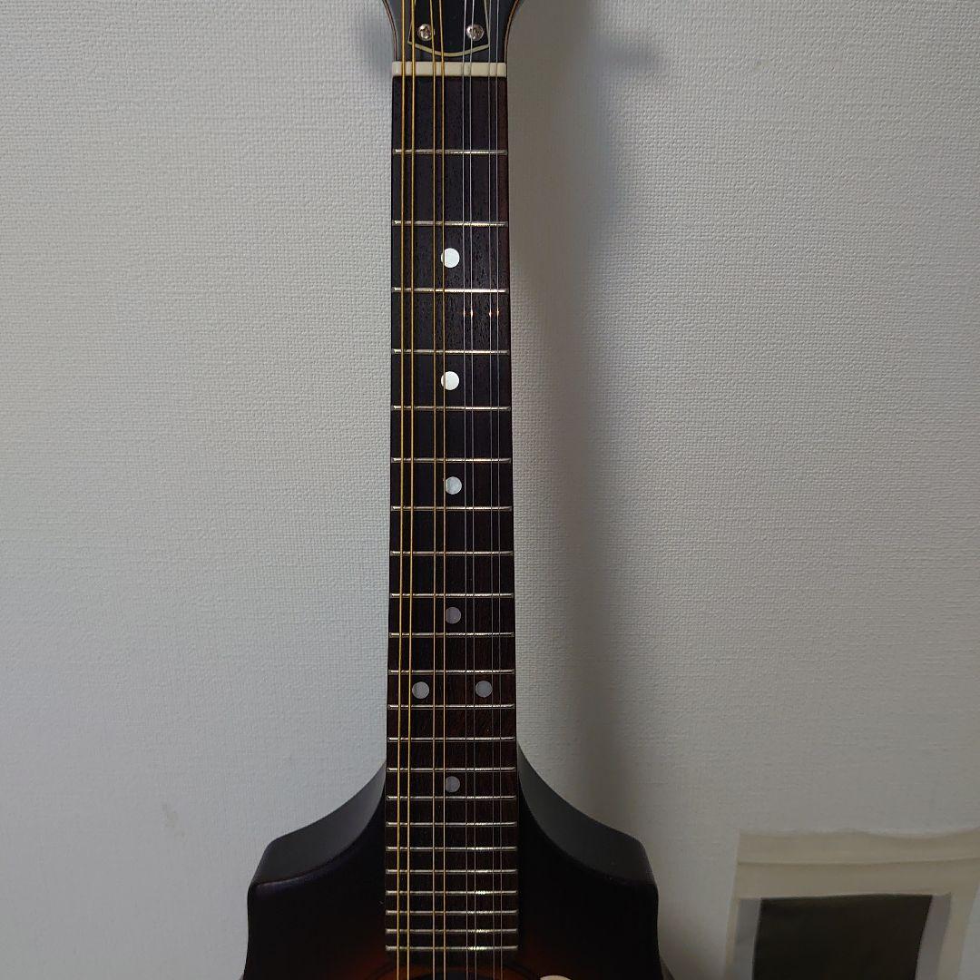 Seagull S8 マンドリン セミハードケース付き