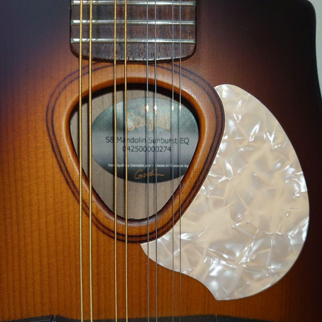 Seagull S8 マンドリン セミハードケース付き
