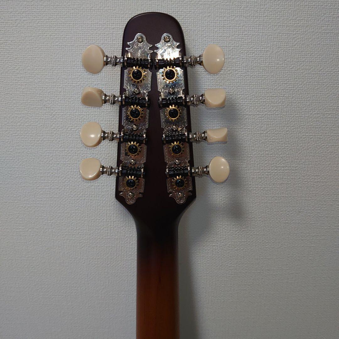 Seagull S8 マンドリン セミハードケース付き