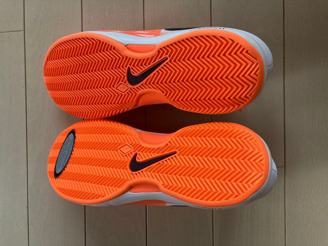 シューズ(男性用) Nike Zoom Vapor 9.5 Tour Clay