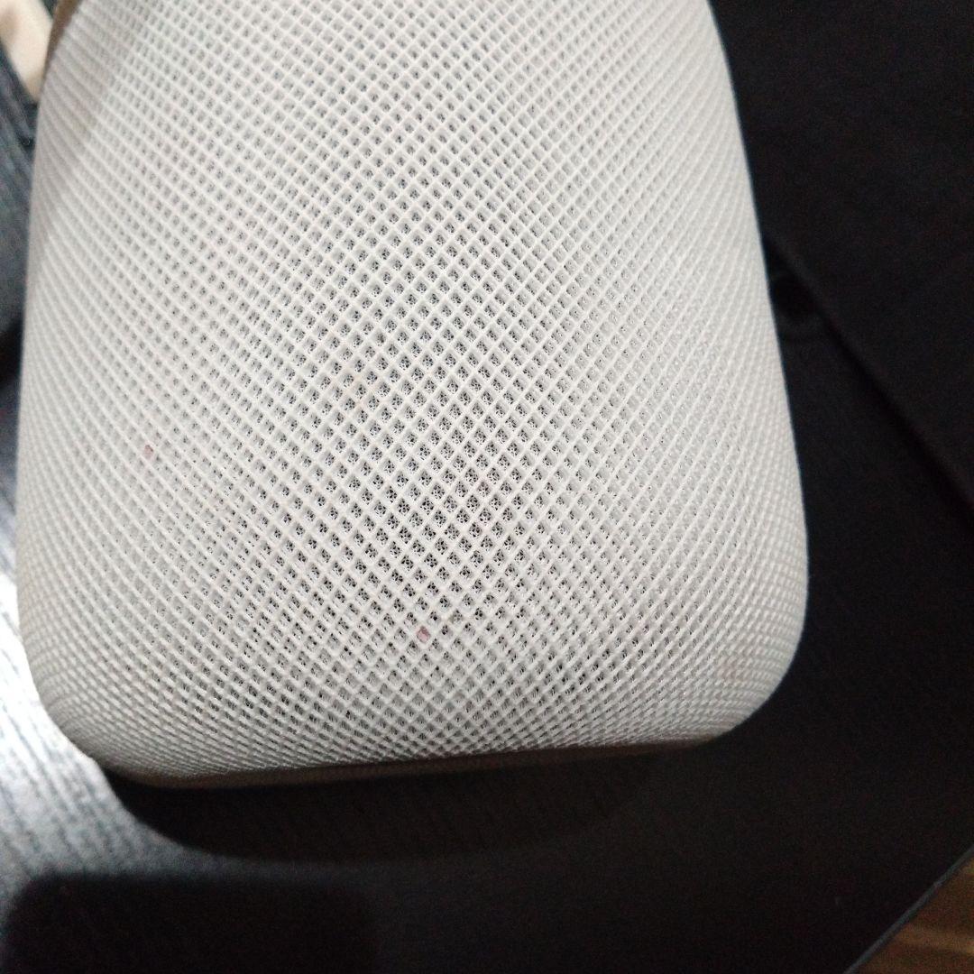 Apple Pod 第二世代 A2825　【ジャンク品】