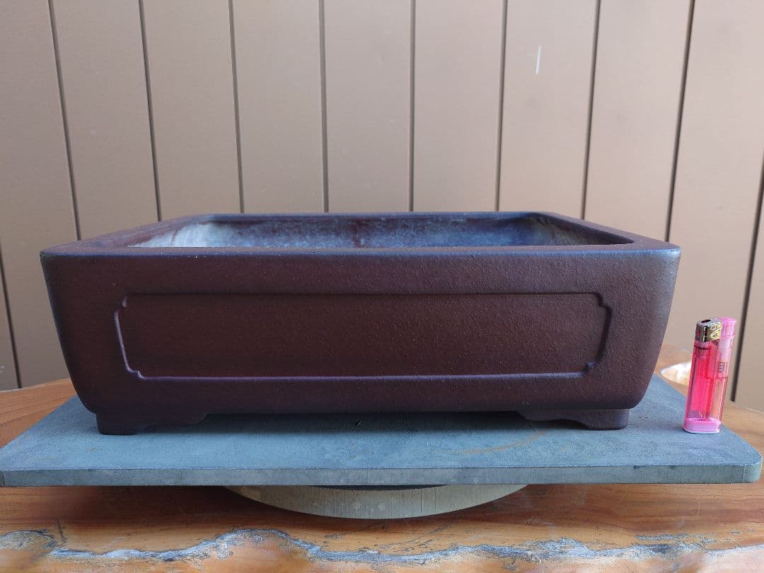 盆栽　鉢　山秋　幅41cm