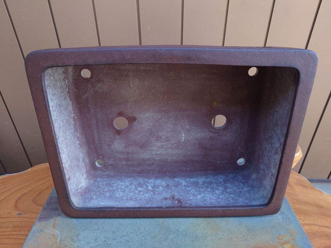 盆栽　鉢　山秋　幅41cm