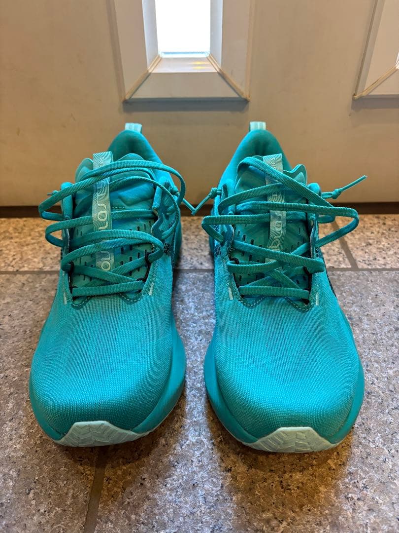 ASICS NOVABLAST 5（ノヴァブラスト5）27.5cm 限定カラー