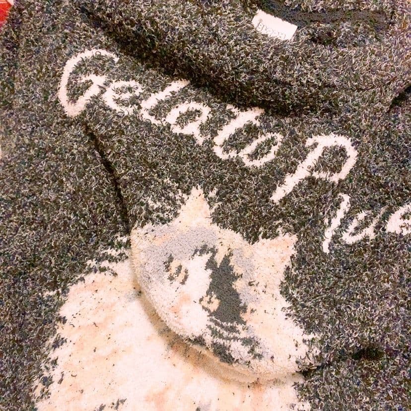 ☆美品☆ジェラートピケ 君の花になる 8LOOM メランジキャット 上下セット