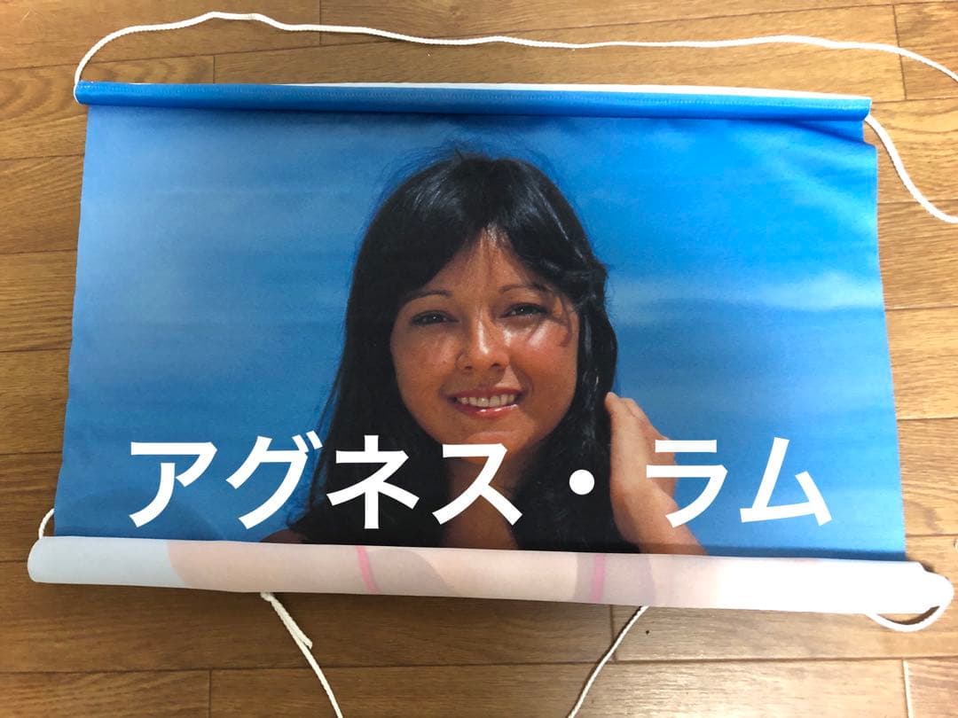 最後の値下げです！降臨の女神アグネス・ラムタペストリー値下げで着払いでお願いです