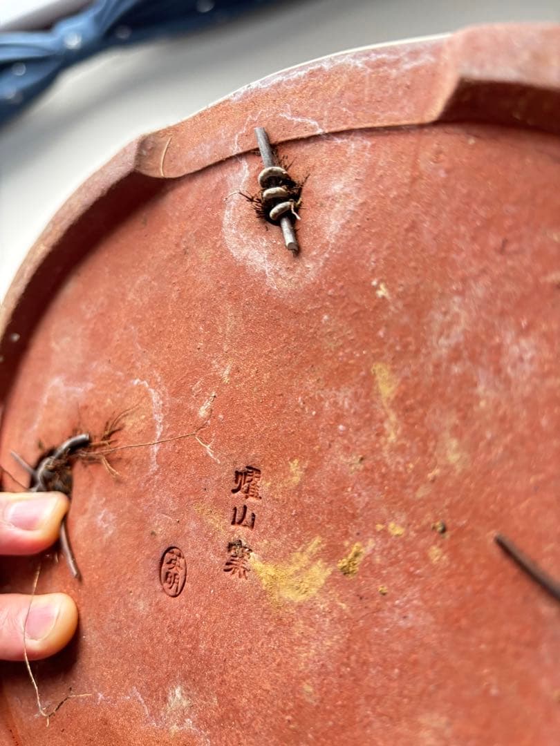 盆栽　山もみじ　寄せ植え