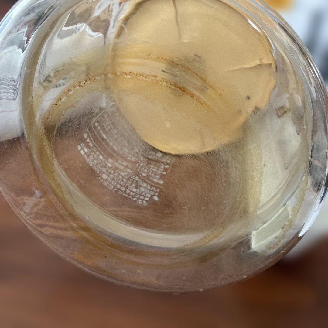 とろびらんらん　漢方煎じ器