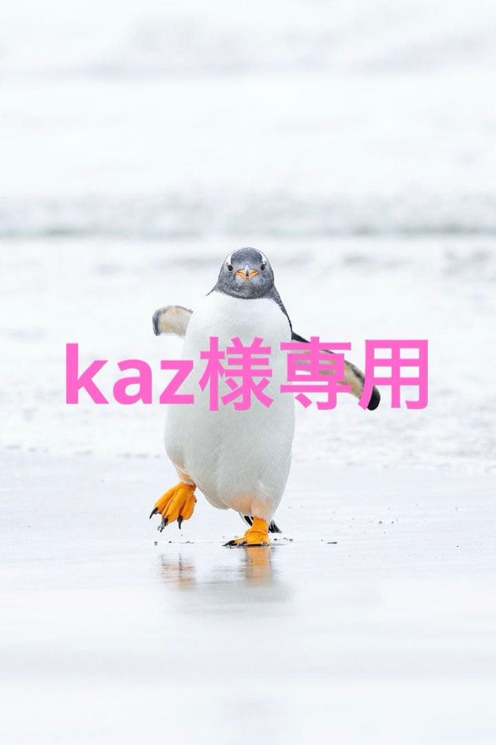 ジル・スチュアート クリスマスコフレ 2025