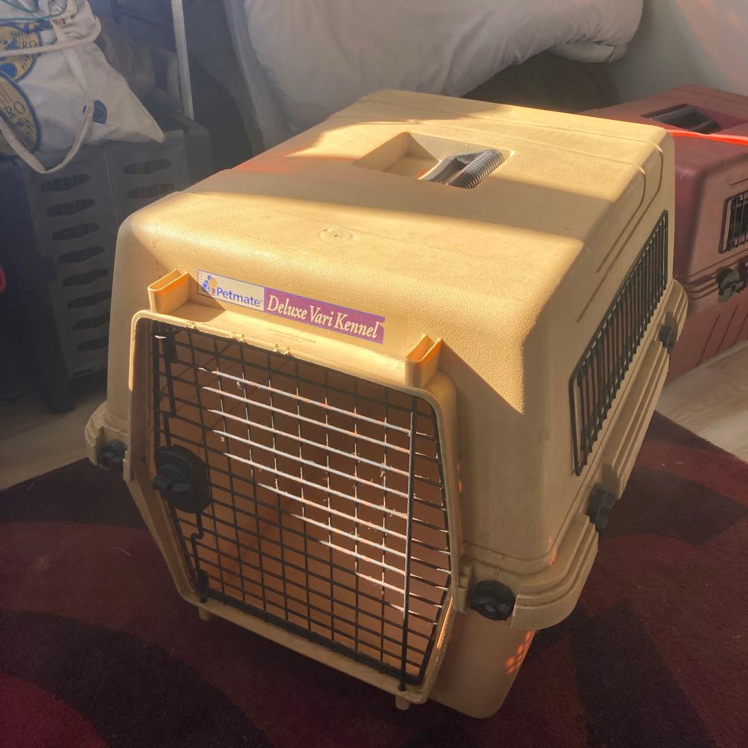 Petmate Deluxe Vari Kennel 中型犬用ケージ