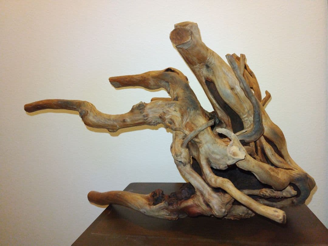 木の根のオブジェ