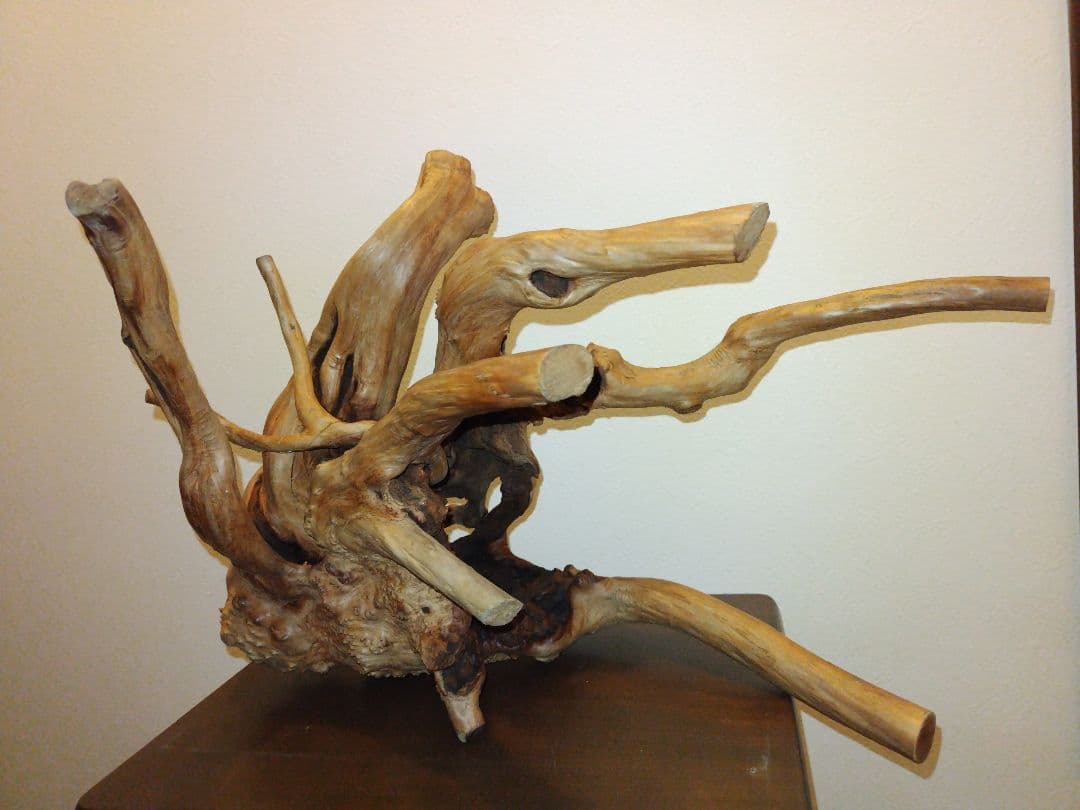 木の根のオブジェ
