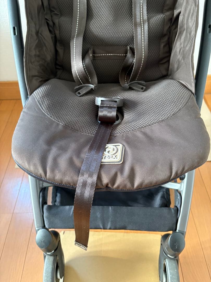 【Kirara】サイベックス リベル2025年