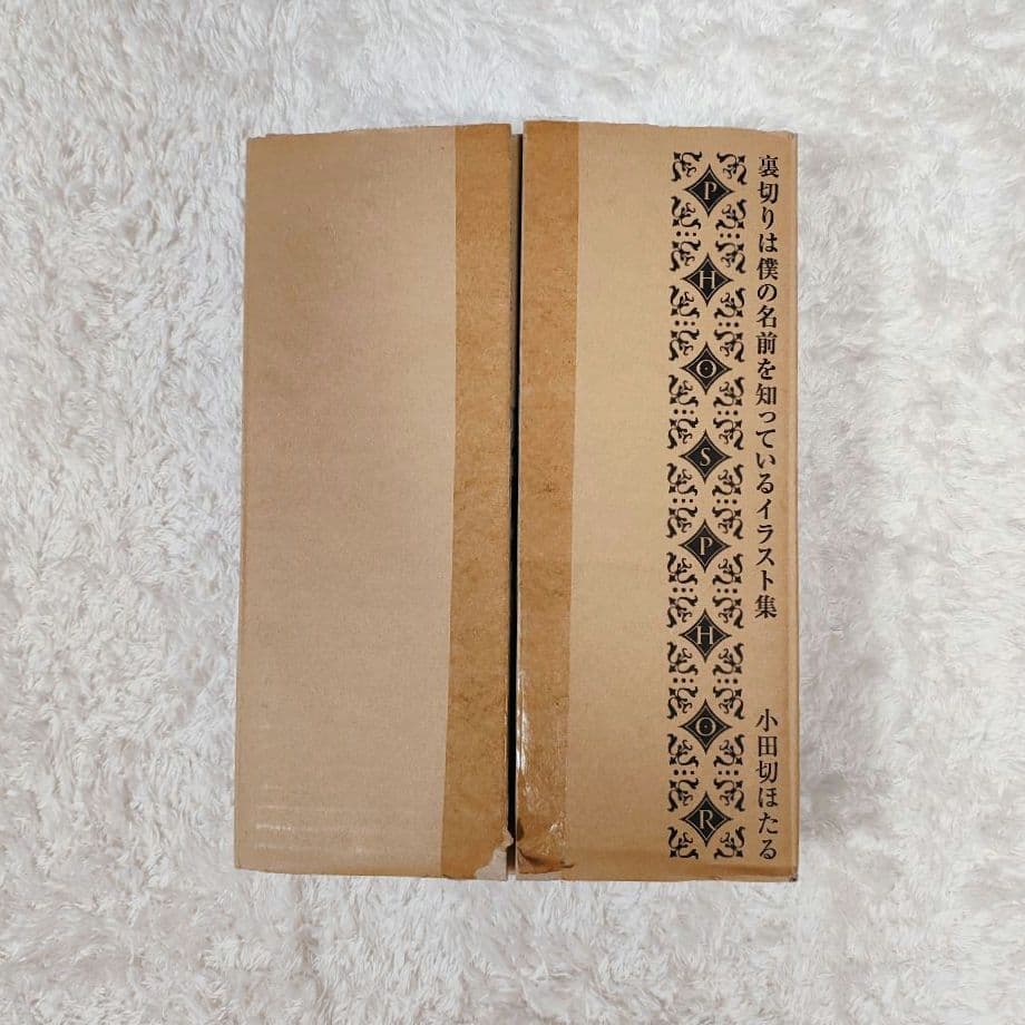 【初版本】PHOSPHOR 裏切りは僕の名前を知っているイラスト集