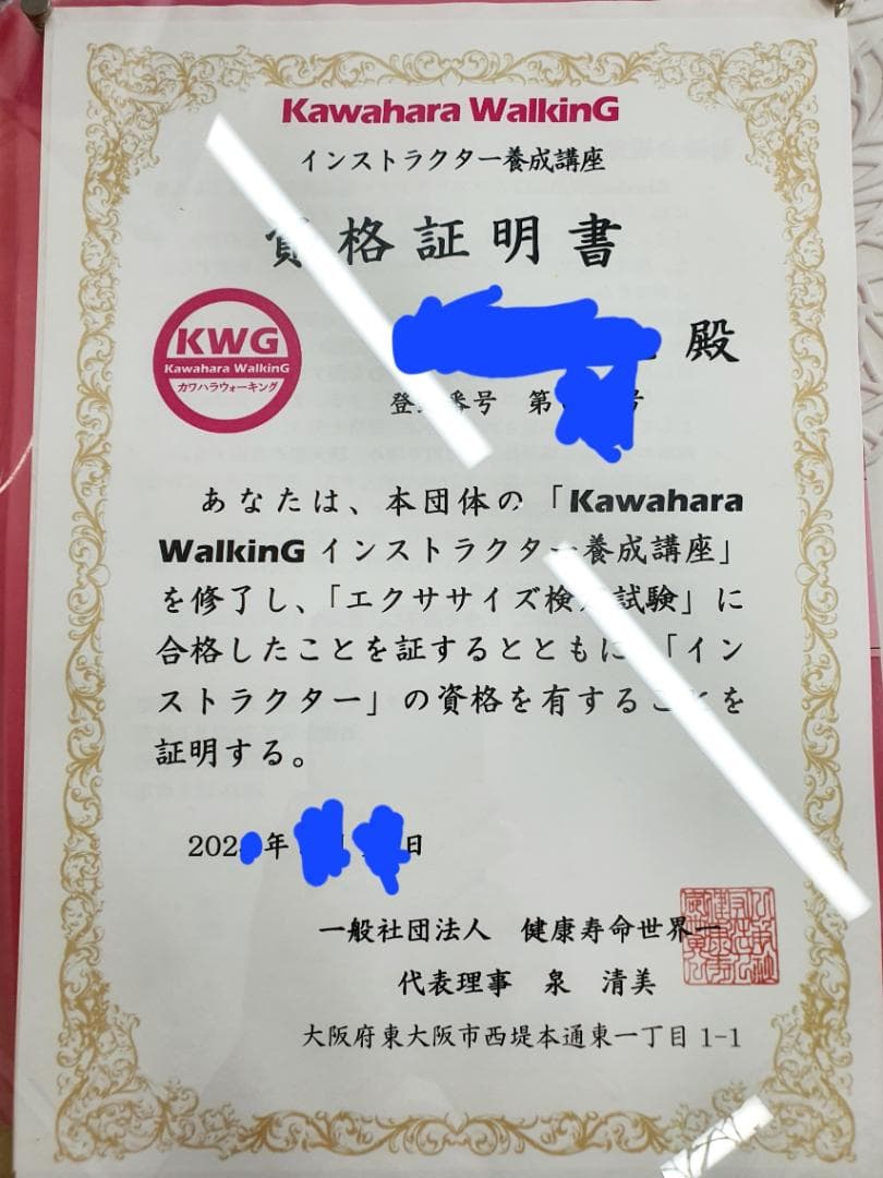 【新品】カワハラポール （紫）オンライン指導特典付き