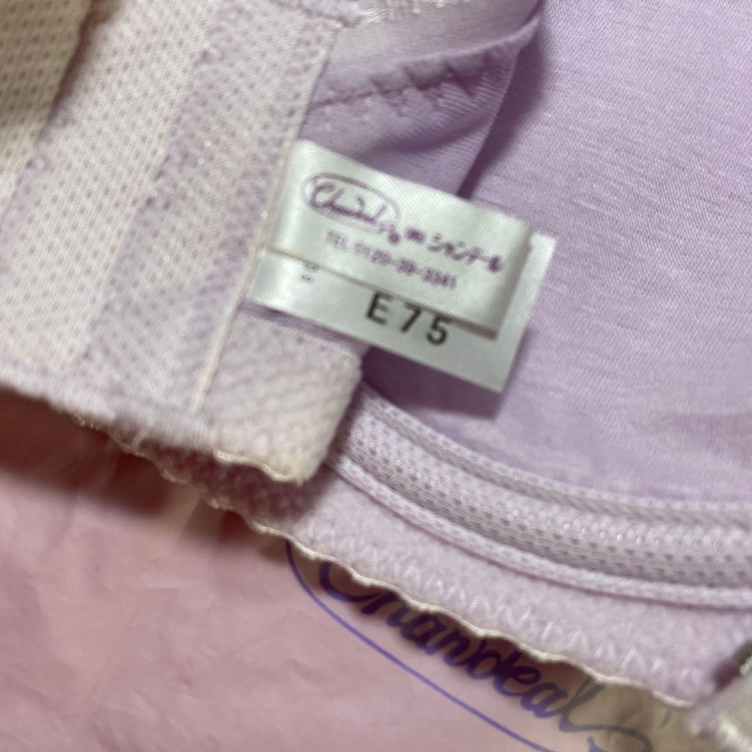 シャンデール　シャイニー　ブラジャー　E75 レディース　下着　夏用　ピンク