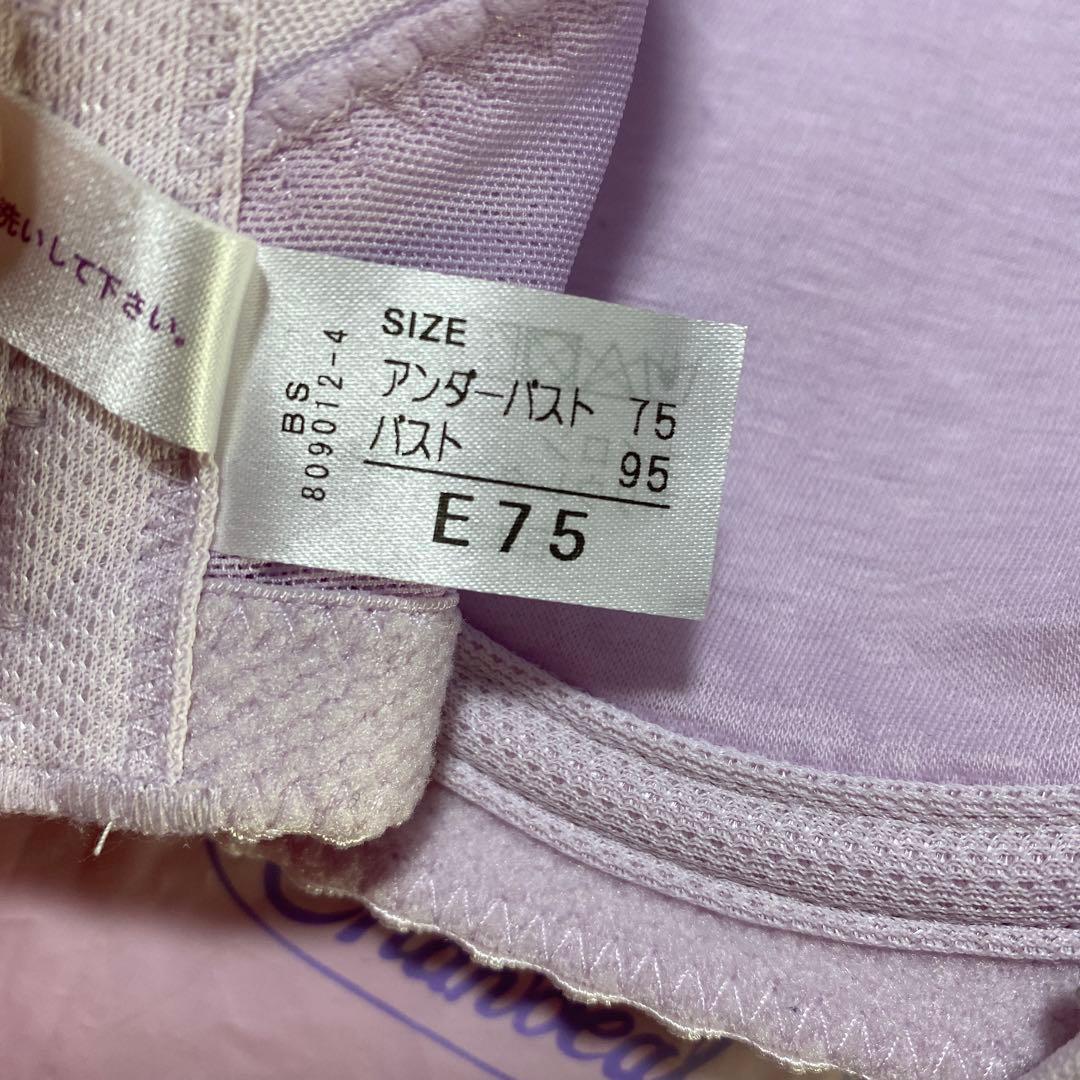 シャンデール　シャイニー　ブラジャー　E75 レディース　下着　夏用　ピンク