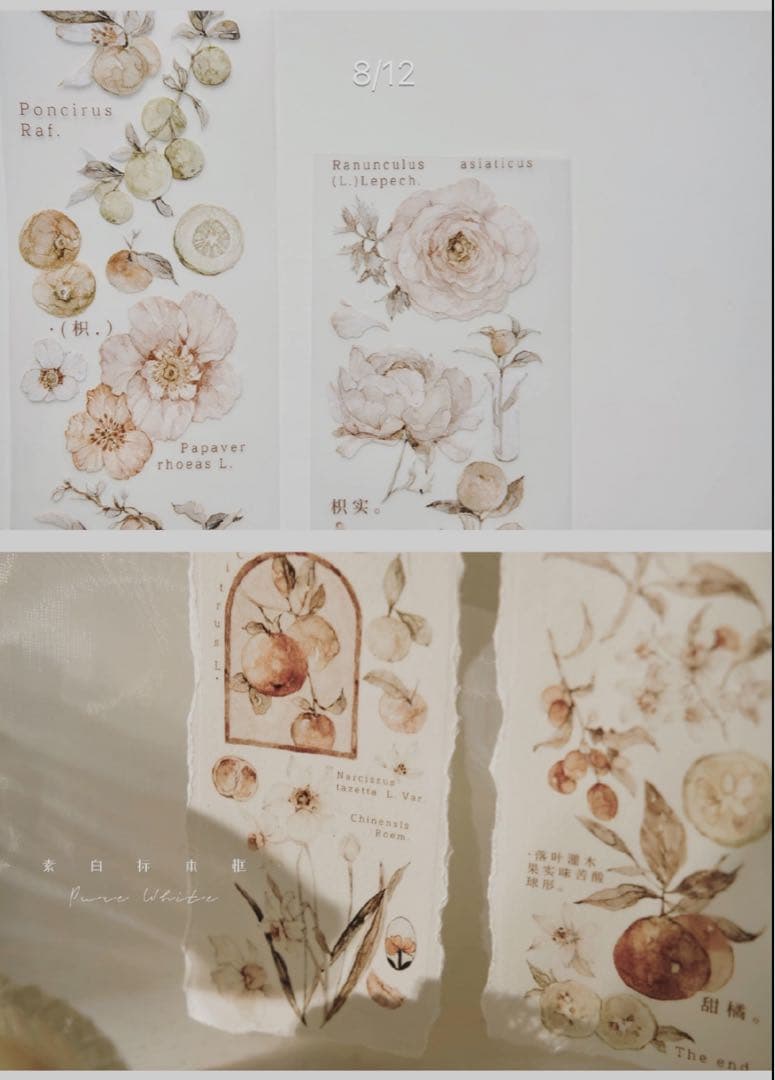 海外マスキングテープ 巻き売り No.243 果物 花柄 植物