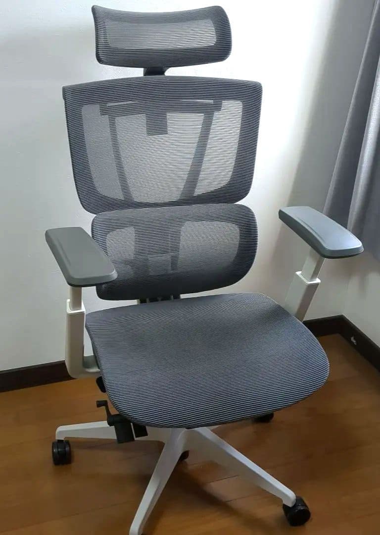 FlexiSpot フレキシスポット C7 グレー