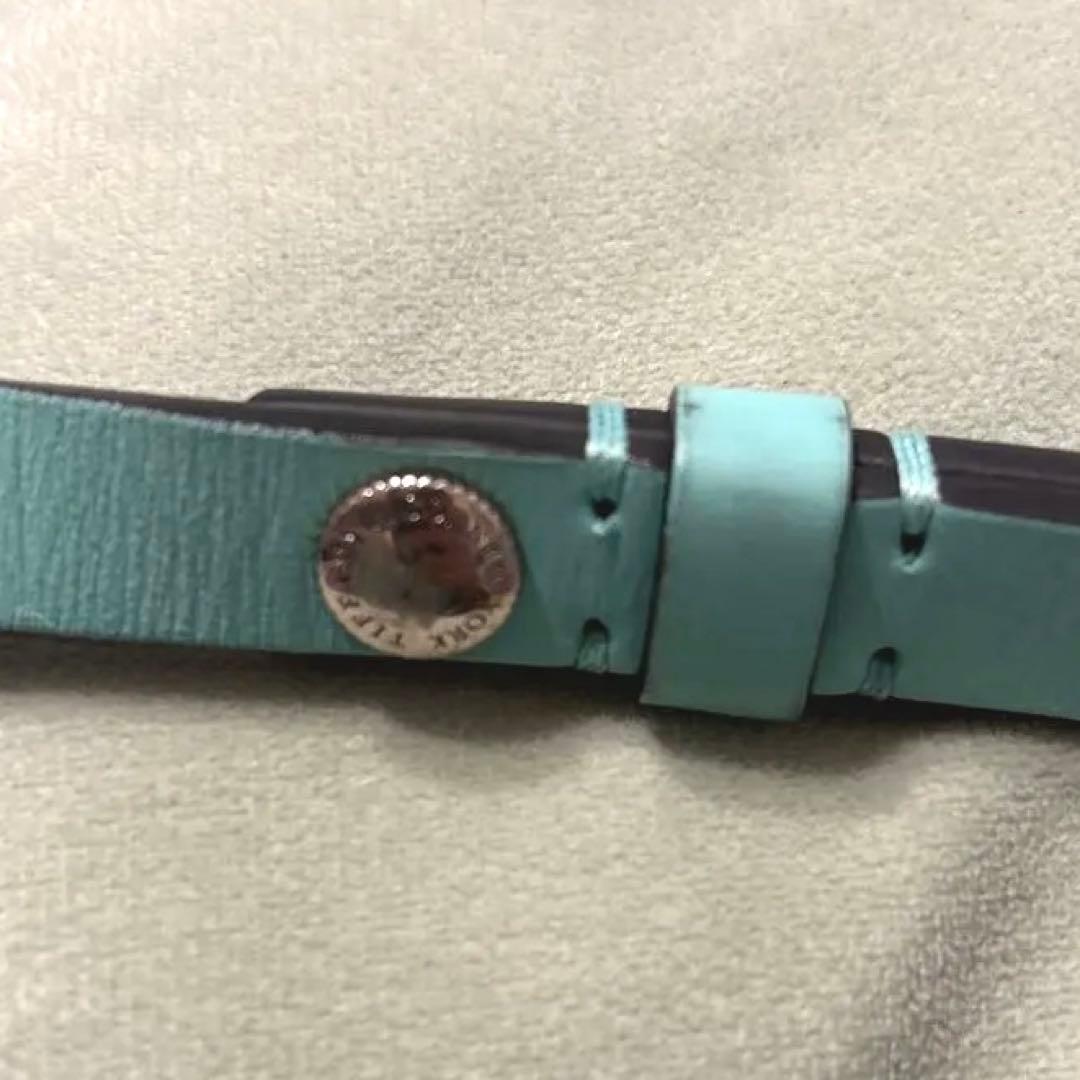 本日限定値下げ！Tiffany&Co. リード　ティファニー　ペット