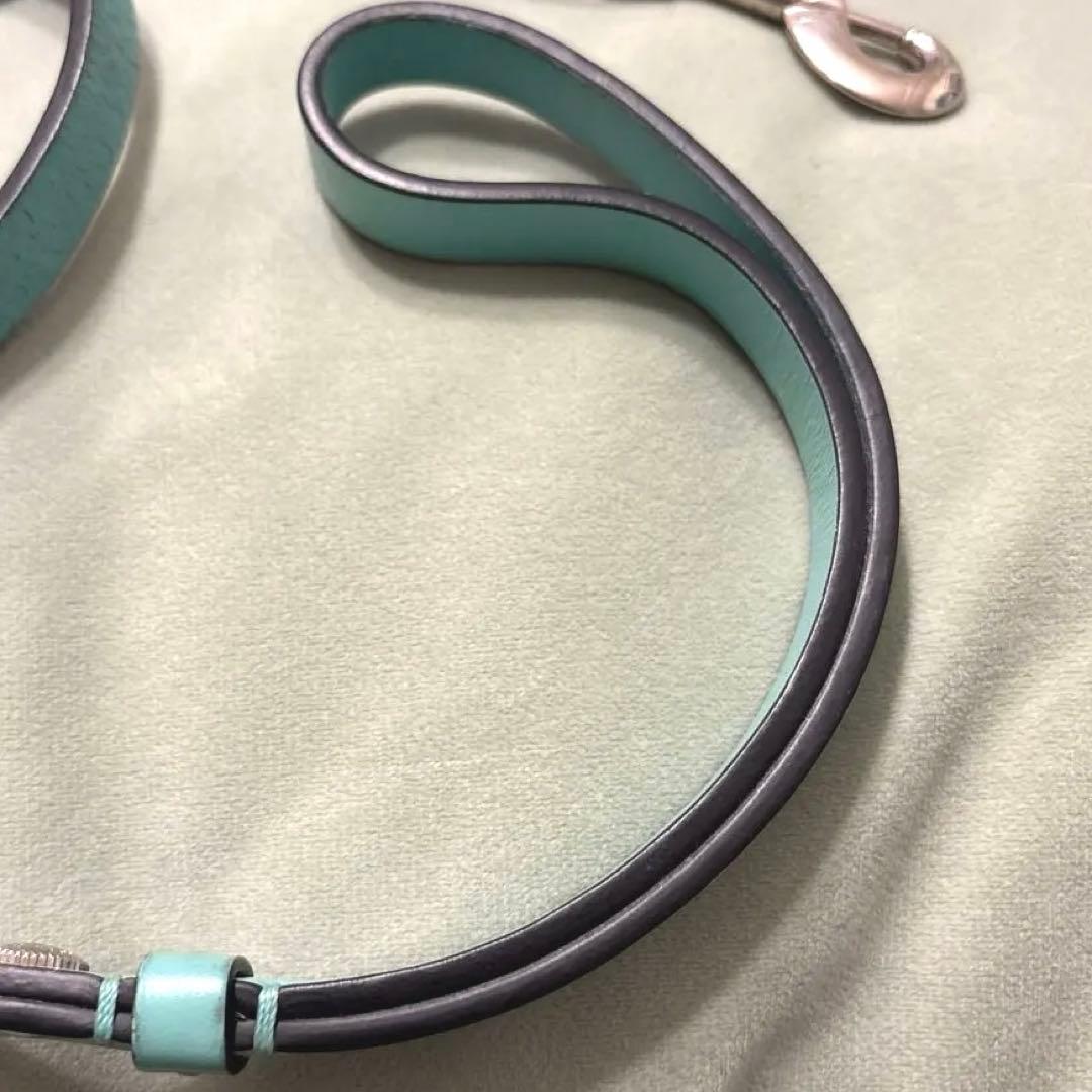 本日限定値下げ！Tiffany&Co. リード　ティファニー　ペット
