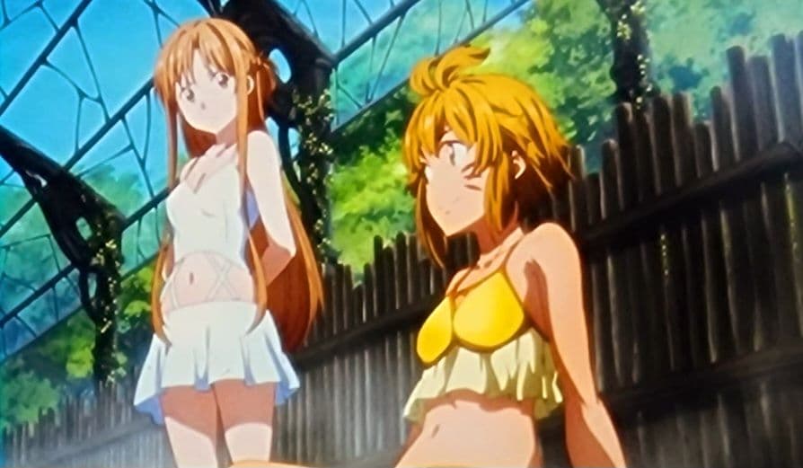 a*t様 『 劇場版 ソードアート・オンライン 』 入場者特典（5週目）⑦