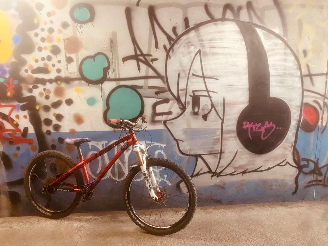 期間限定値下げ購入前コメント必須 Dartmoor ダートジャンプ フレームのみ