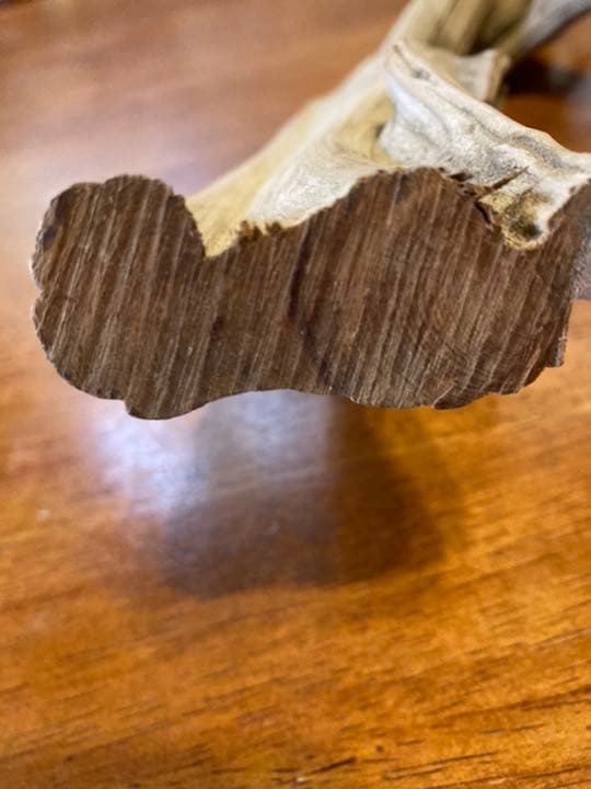 真柏　切断片５０cm大　盆栽　しんぱく　天然木