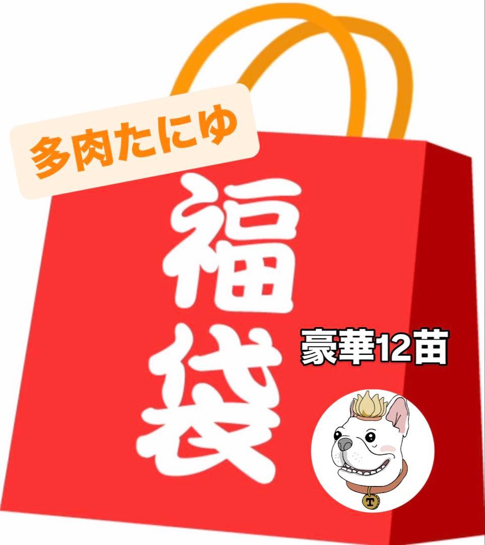 2026多肉たにゆ袋　豪華12苗