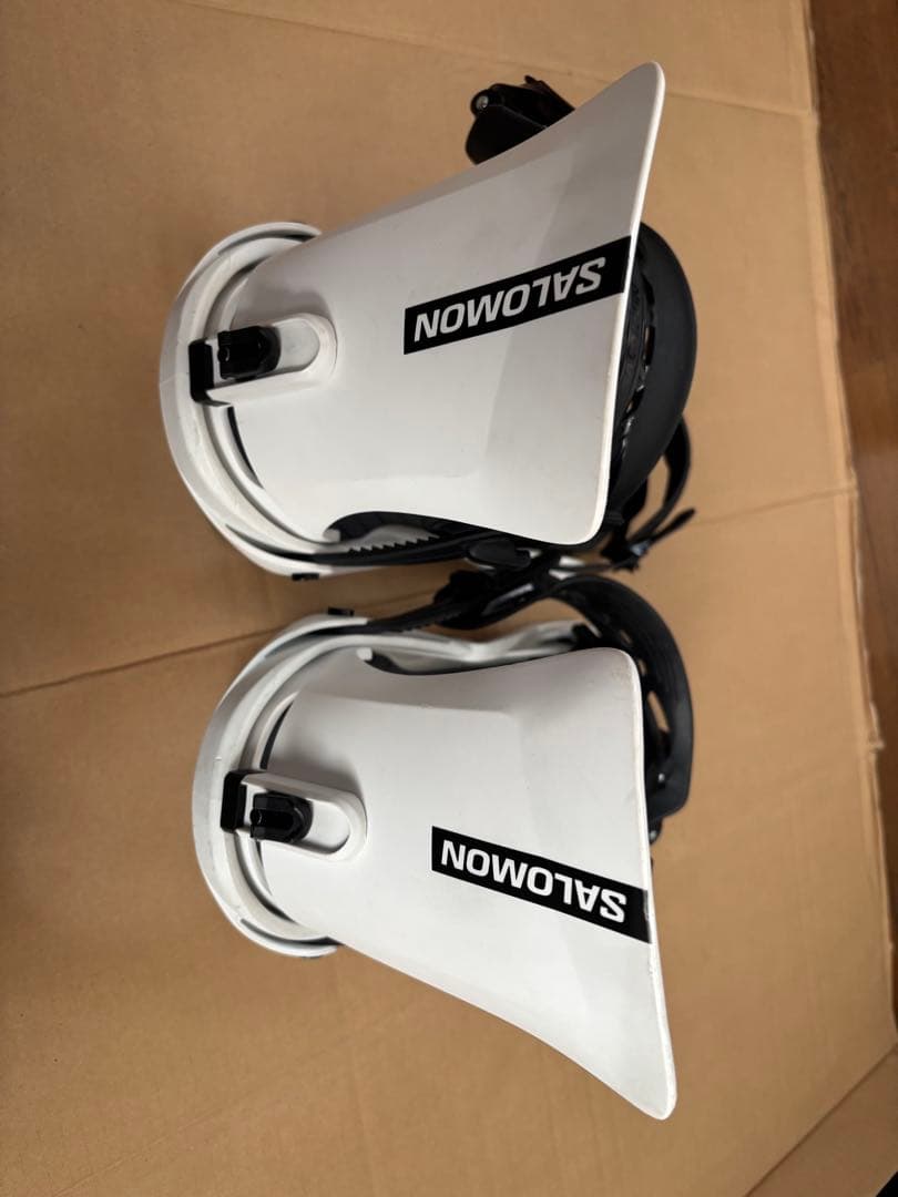 サロモン　リズム　Lサイズ　24-25