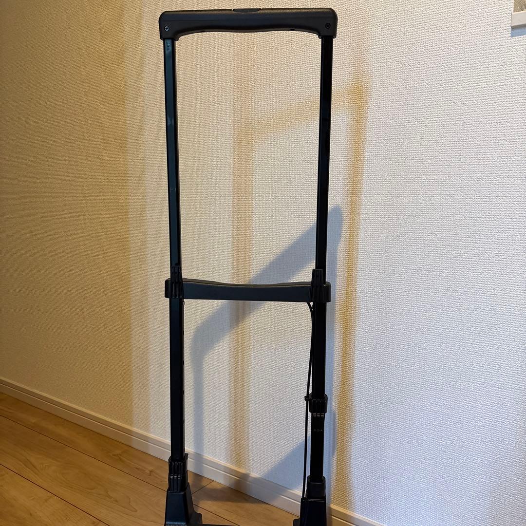 【タグ付き未使用】SWANY × 近沢レースキャリーバック