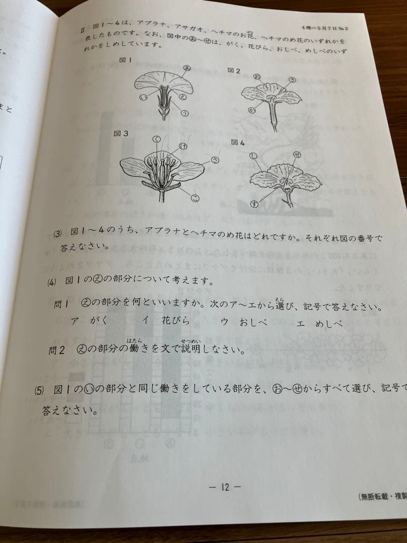 日能研　2022年度　4年生　育成テスト　公開模試フルセット　夏期冬期特別テスト