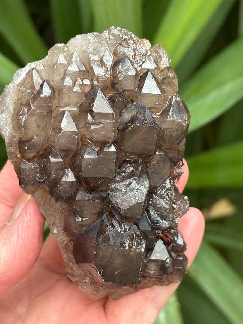 ブラジル産　ジャカレー水晶　ワニ水晶　エレスチャル　303g かっこいい　天然石