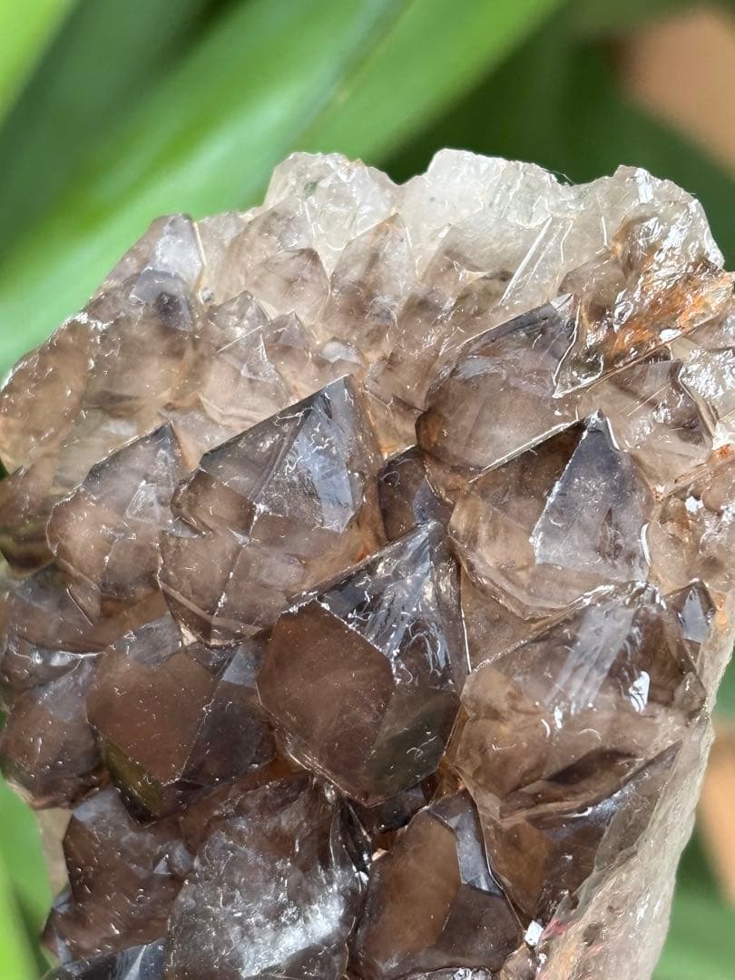 ブラジル産　ジャカレー水晶　ワニ水晶　エレスチャル　303g かっこいい　天然石