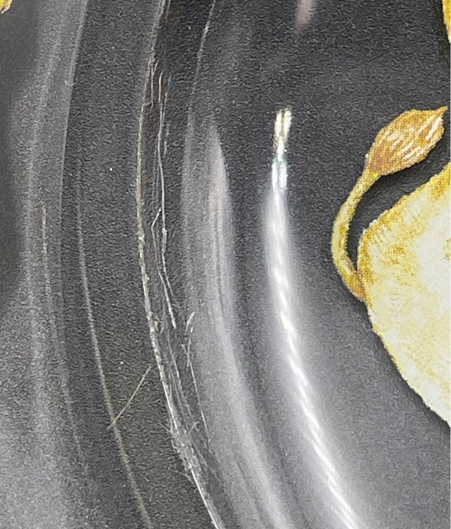 25cm ◆ フランシュリッペ ◆ ユキエモン ガラス 皿 プレート 猫