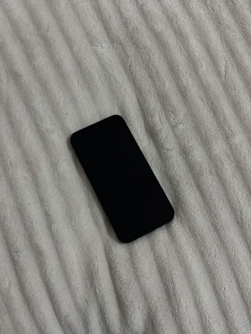 あむちゃん様用 Apple iPhone 12Pro